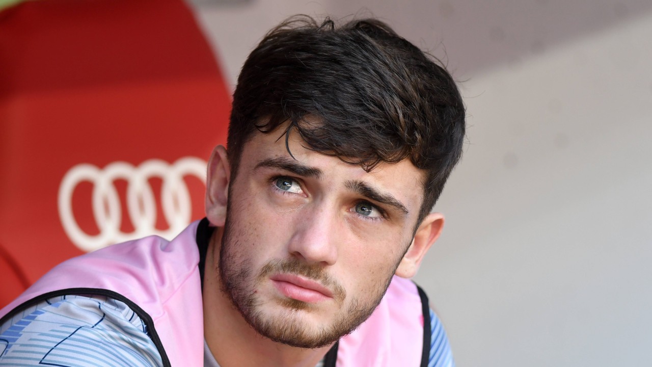 Papagaj kome je Zvezda dala krila