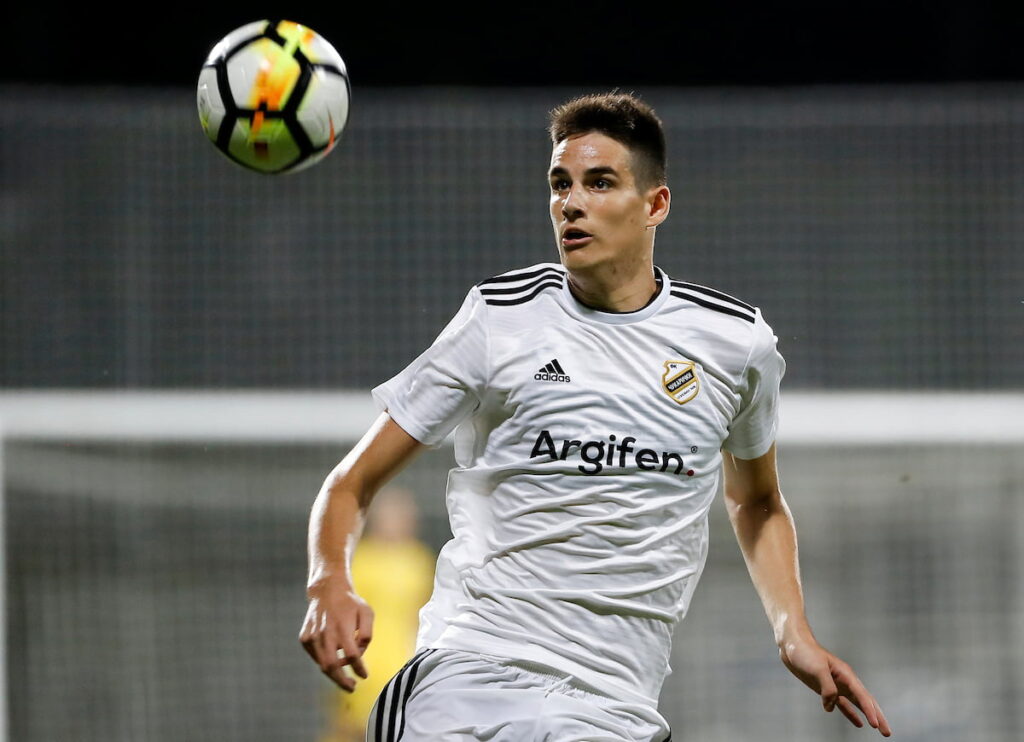 slobodan tedić-pauza-dva meseca-povreda-zvole