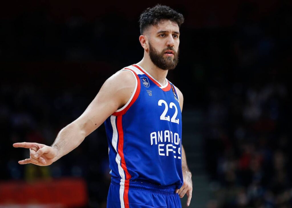 vasa-micic-efes