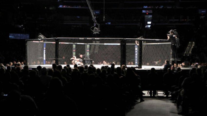 Ono kad se u MMA tuču umeša i publika... (VIDEO)