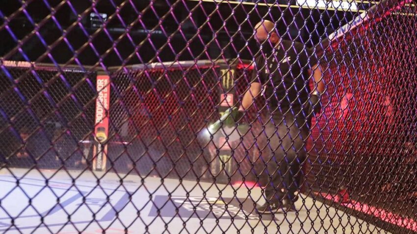 REVOLUCIJA: UFC više ne kažnjava zbog marihuane