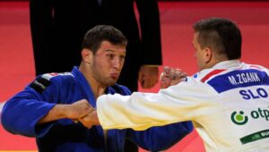 Nemanja Majdov