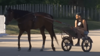 JOKIĆ STIGAO U SOMBOR Brže-bolje otišao na hipodrom (VIDEO)