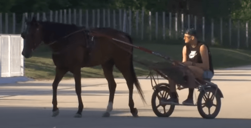 JOKIĆ STIGAO U SOMBOR Brže-bolje otišao na hipodrom (VIDEO)