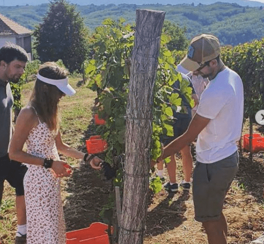 ĐOKOVIĆI ODUŠEVILI SRBIJU: Novak i Jelena u berbi grožđa sa prijateljima (FOTO)