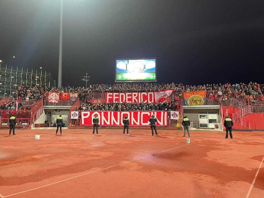 Crvena-zvezda-delije-podrška