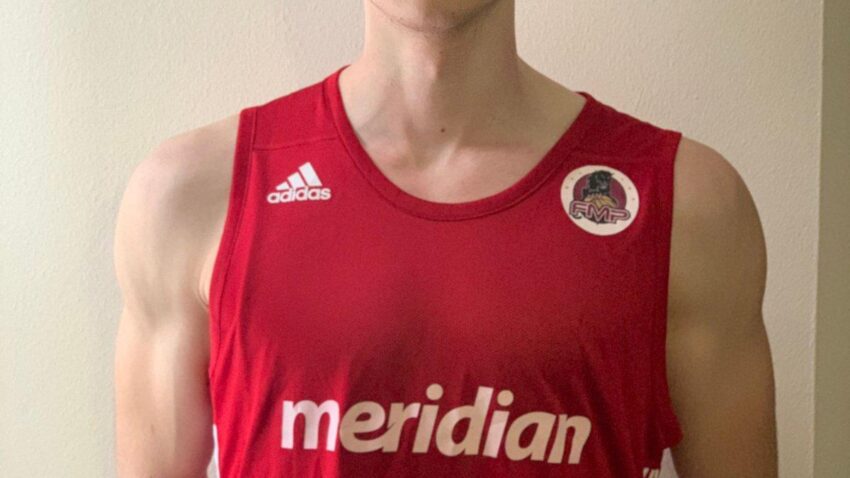 NOVA LICA U FMP MERIDIANU: Gušić i Manojlović potpisali!