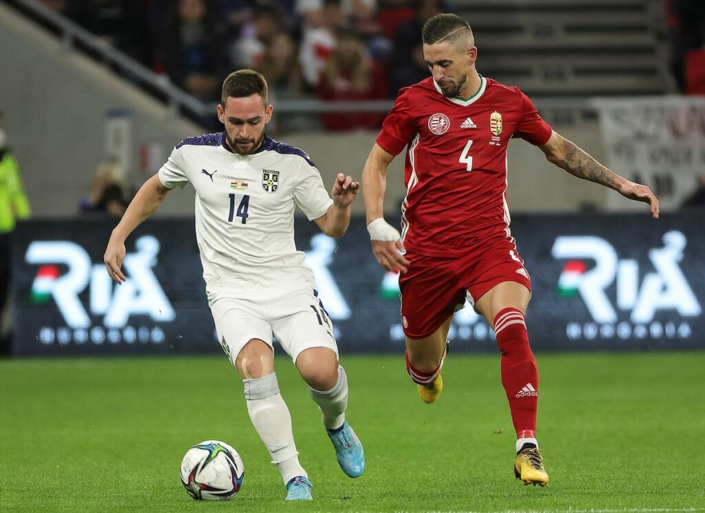 srbija-mađarska-andrija živković