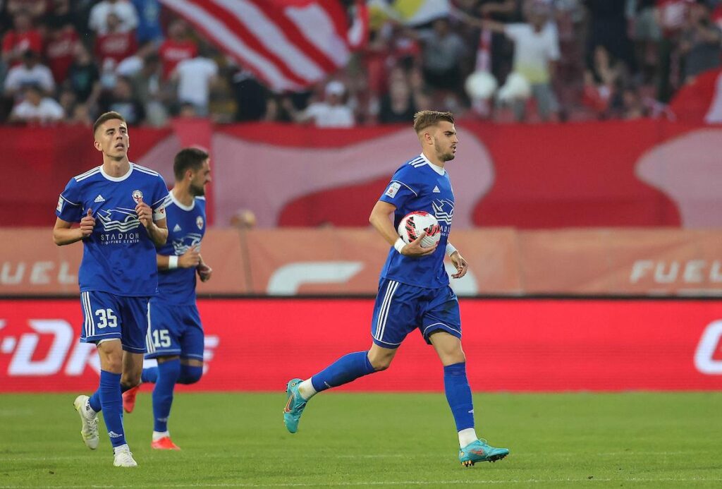 crvena zvezda-voždovac-nemanja milojević