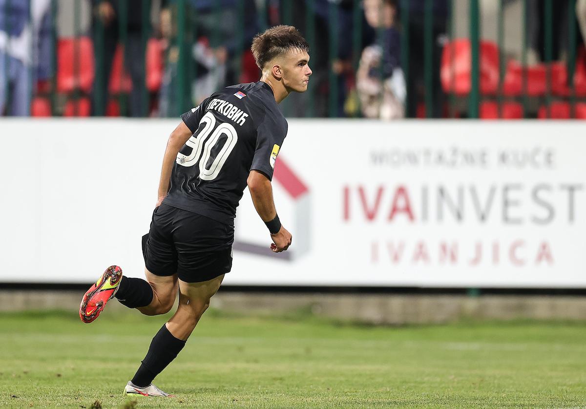 partizan-mihajlo petković