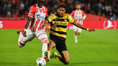 Crveno-bela misija: Obezbediti bernskim medvedima dugačak zimski san, a sebi evropsko proleće