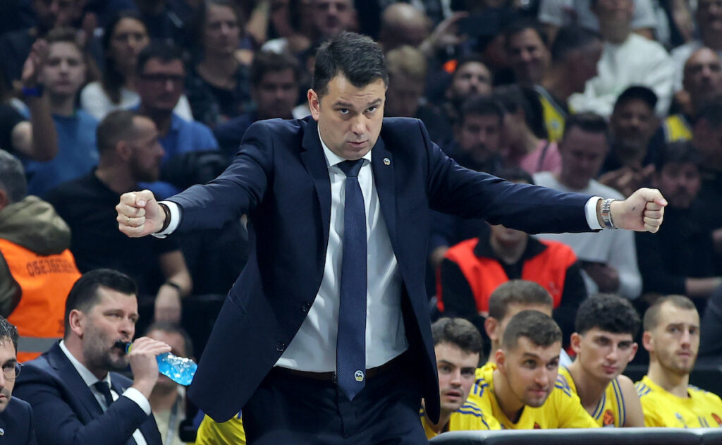 partizan alba 195451