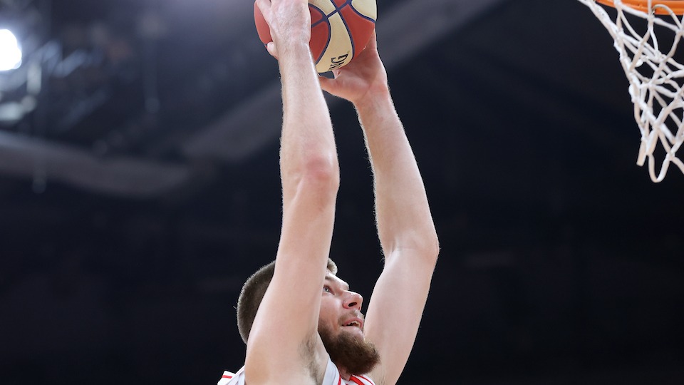 rokas gedraitis-crvena zvezda