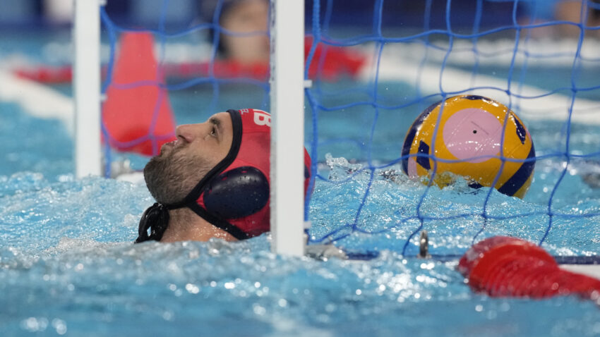 Delfini nestali u australijskoj struji: Srbija je alarm navila kasno - na 6:00