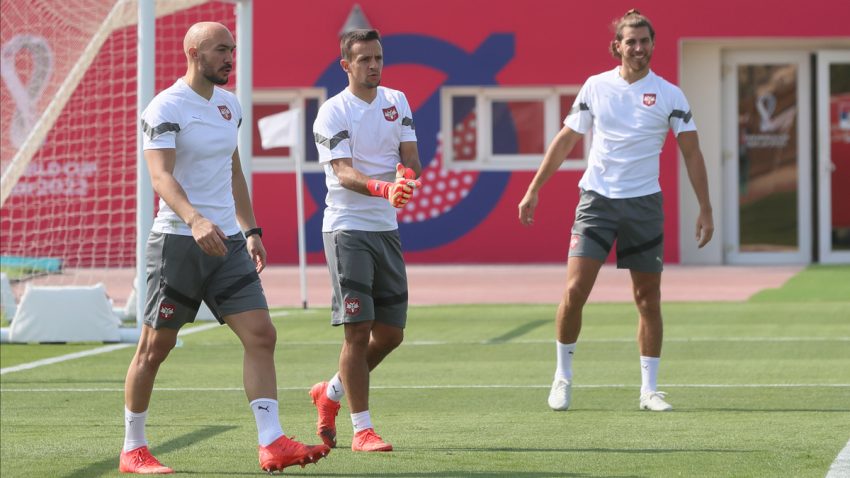 Kraj sage: Dmitrović kod Brašanca