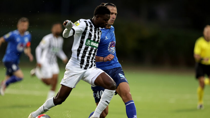 Partizanu potreban novi Princ