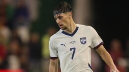 Španci neće otkupiti Birmančevića