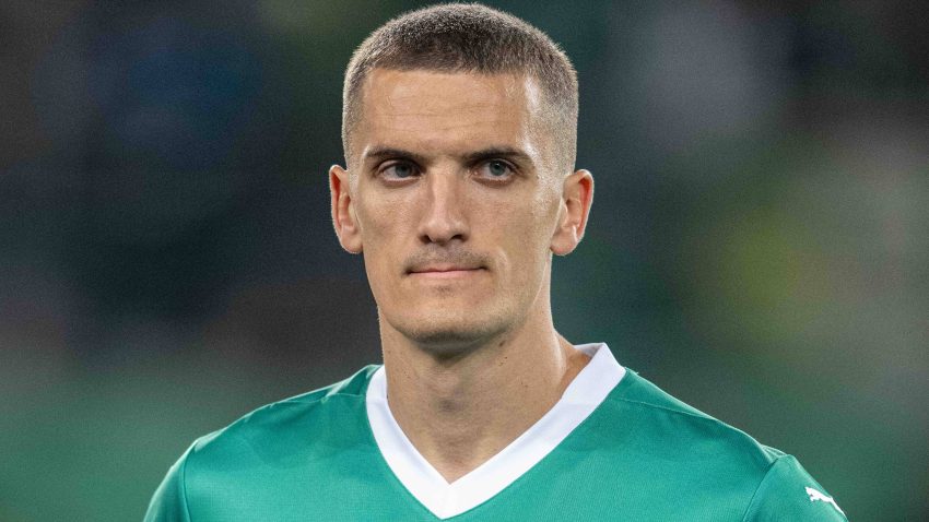 Od srpskoligaških terena do bečkog dvora: Niko kao Luka Jović, Zvezda ostala nedosanjana