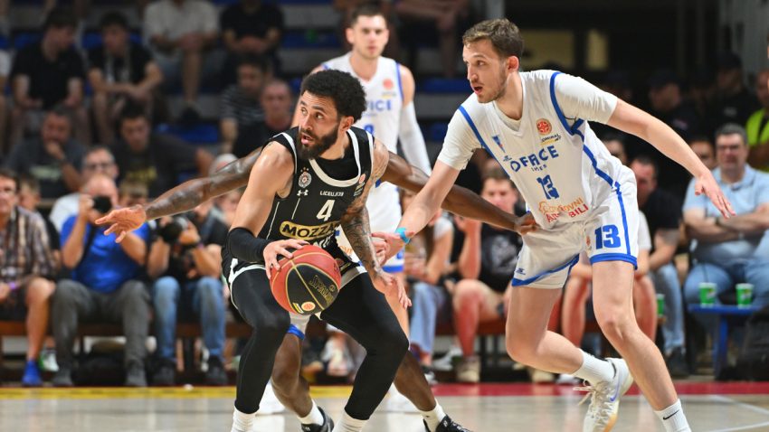 Dudova šuma traži heroja, Partizan naslednika Bogdana Bogdanovića