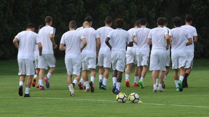 Partizanovo dete pojačalo austrijskog niželigaša