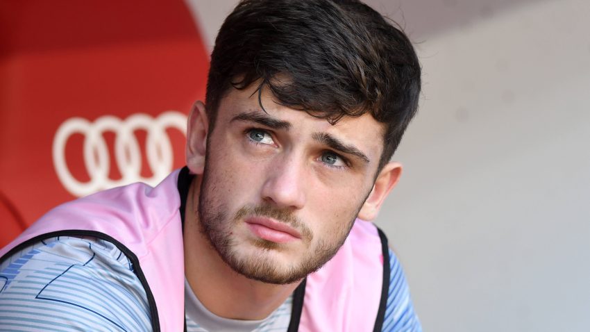 Papagaj kome je Zvezda dala krila