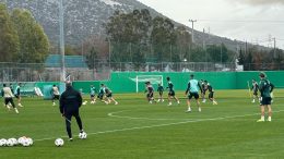 Benitez računa na Srbe