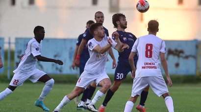 Posle četiri godine u Srbiji krilo se vratilo u domovinu