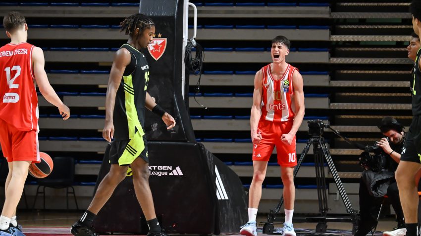 Nedeljković kao Hulk - uzeo loptu i rešio dramu: Zvezda na korak do velikog finala!