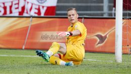 Poljaci dolaze u komšiluk po Milosavljevića