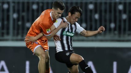 Radnički pazario u Subotici, još jedno Zvezdino dete stiže na Čika Daču