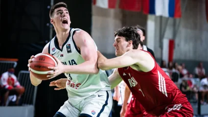 Džepina i Lučić poslali poruku ostatku Evrope